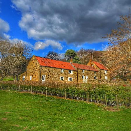 Park House Bed and Breakfast Ingleby Arncliffe Eksteriør billede