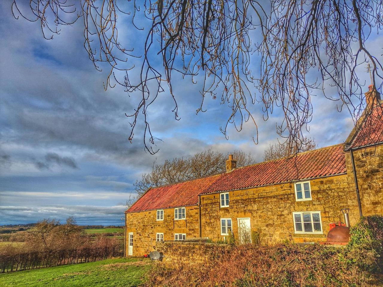 Park House Bed and Breakfast Ingleby Arncliffe Eksteriør billede